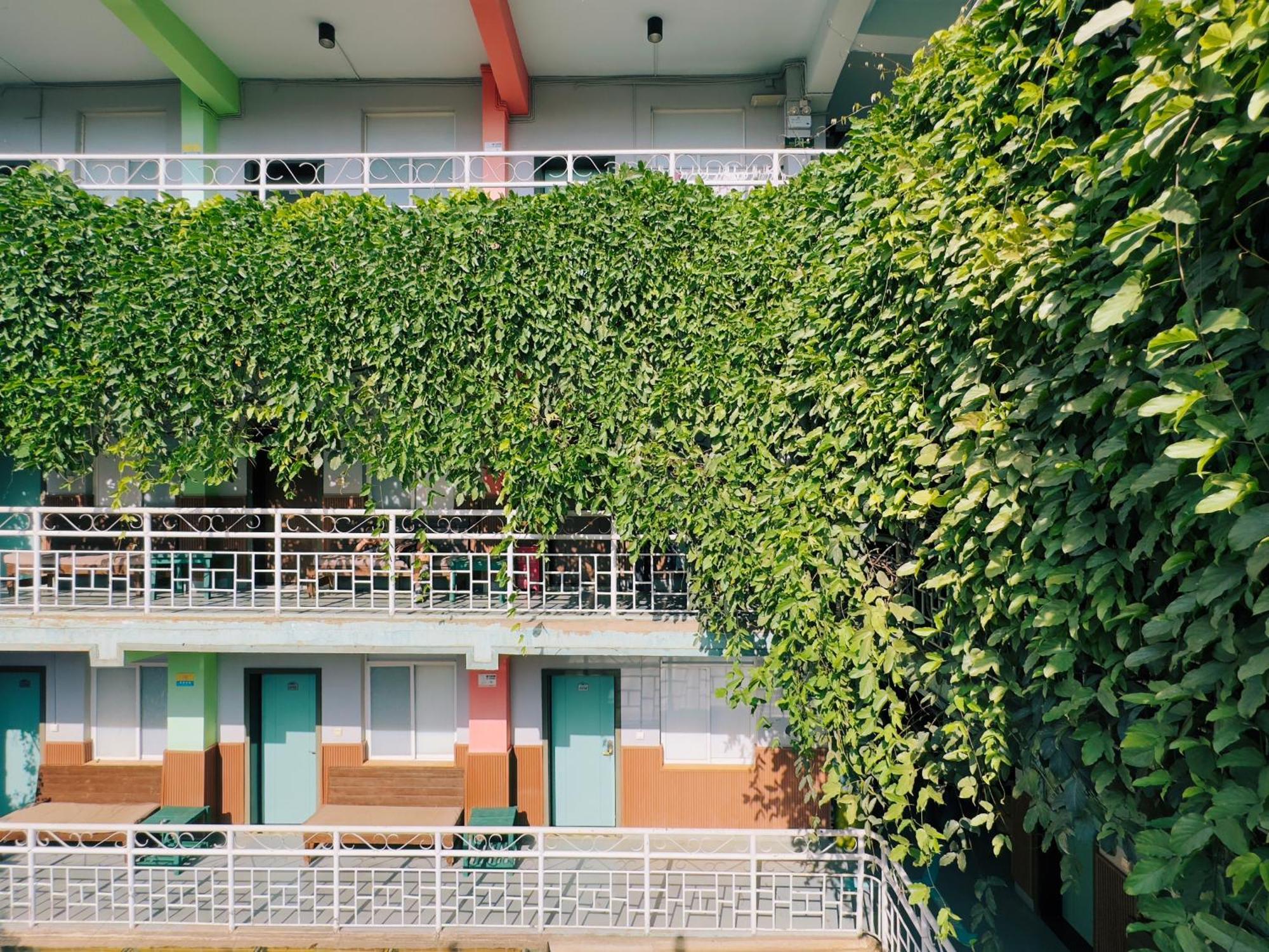 The Cloudland International Youth Hostel Close To The City Center,10 Min Walks To The Subway, Close To The Night Market, Old Street, Green Lake, English-Speaking Service, Free Activity Convenient Payment And Visa Cards Are Accepted Côn Minh Ngoại thất bức ảnh